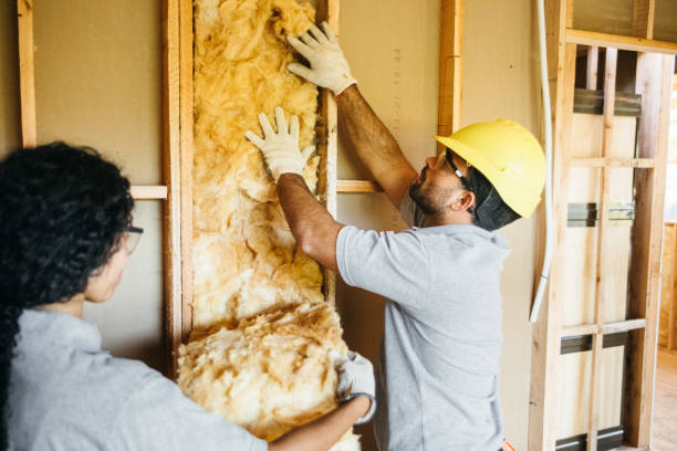 Best Spray Foam Insulation  in Oakdale, MN